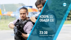 Сезон 17