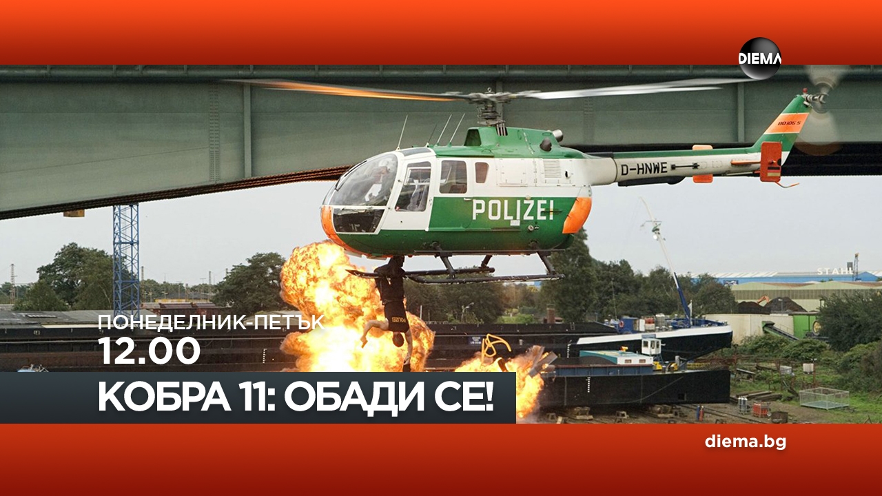 Сезон 11