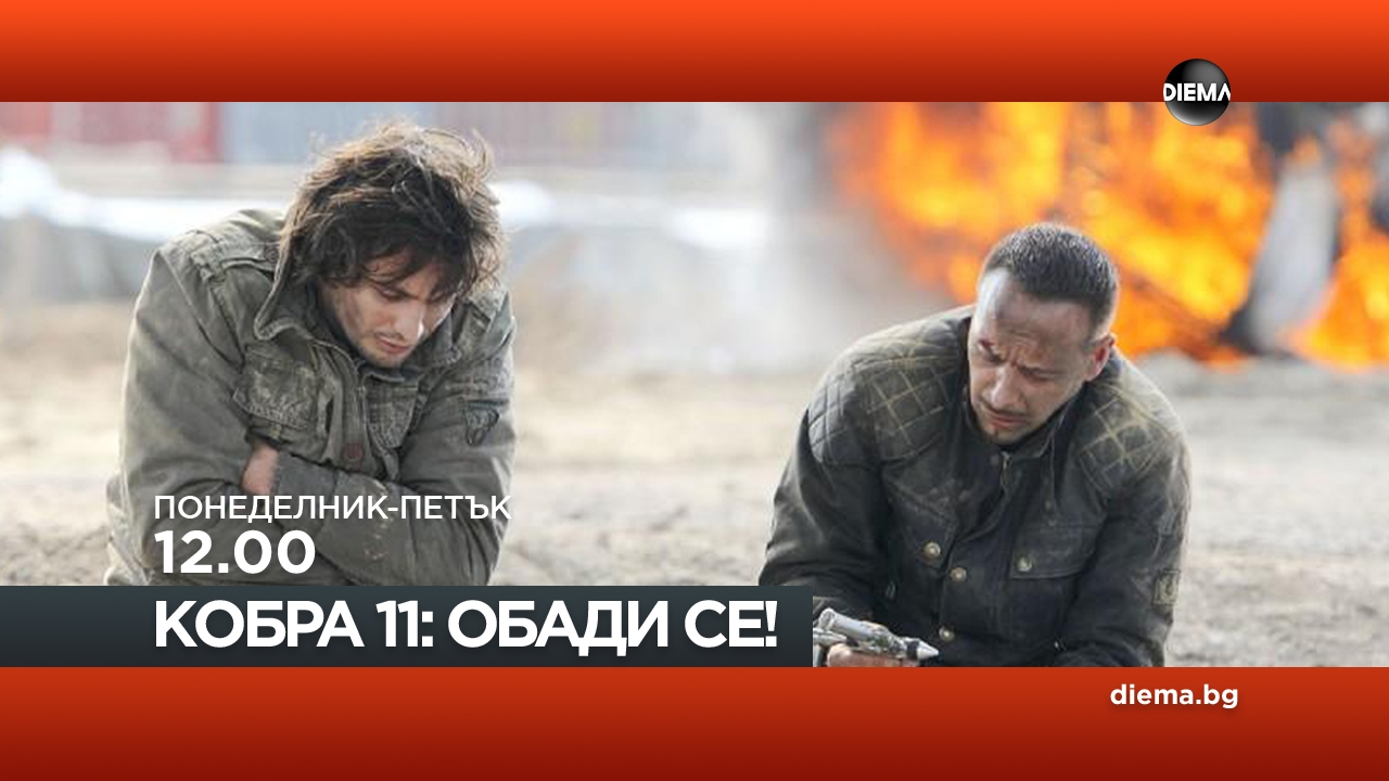 Сезон 14