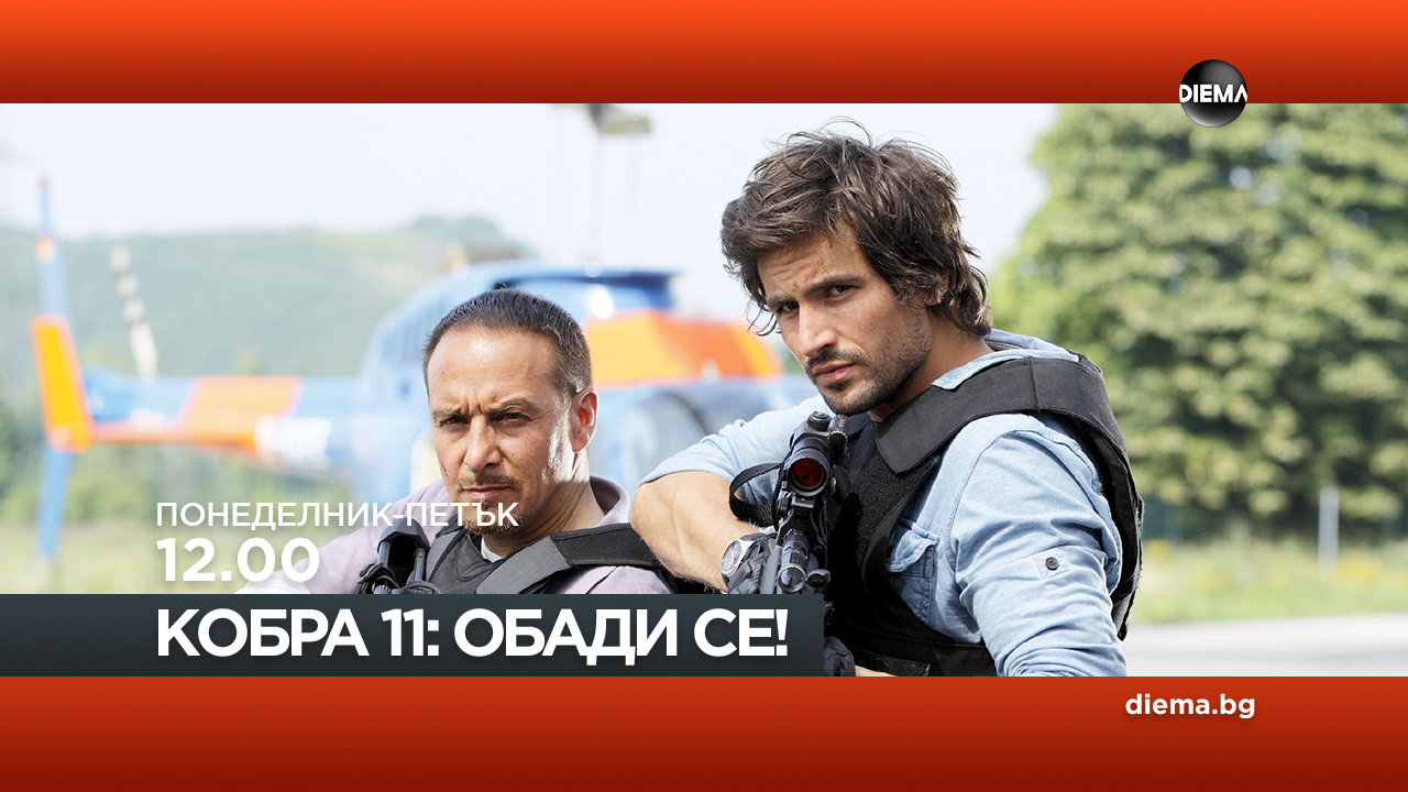 Сезон 17